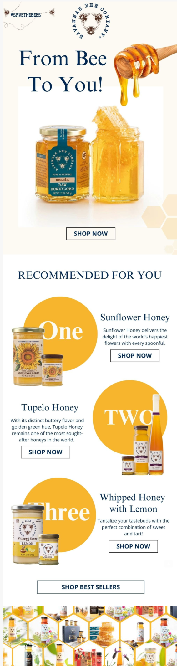 Email Design 2